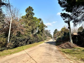 place photo 34