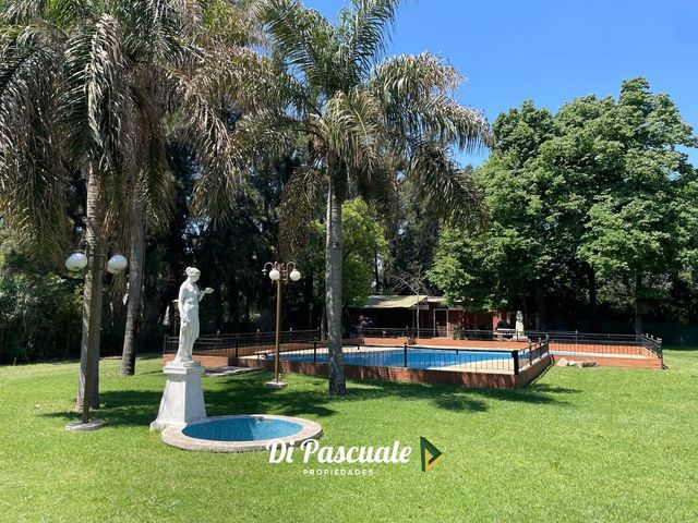 place photo 12