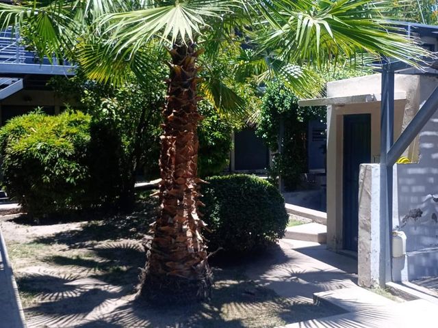 place photo 33