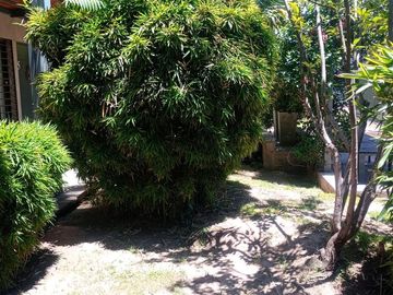 place photo 37