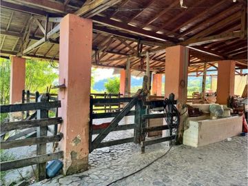 place photo 42