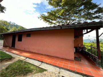 place photo 43
