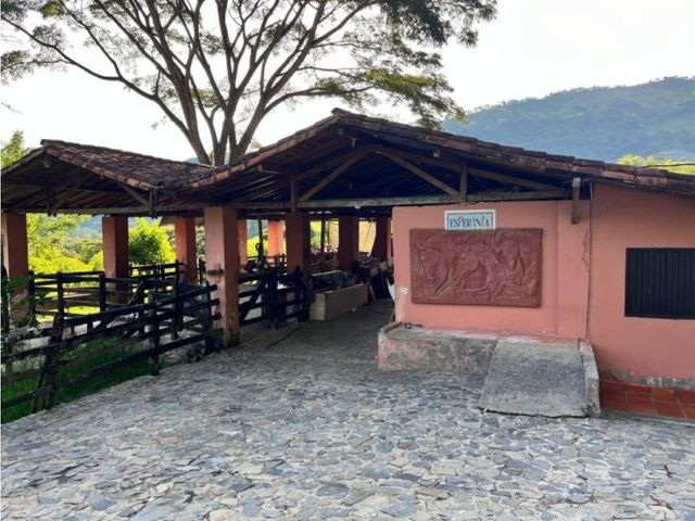 place photo 39