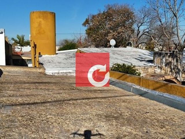 place photo 66