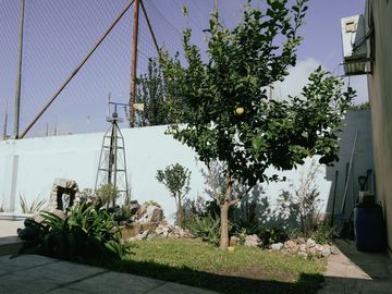 place photo 19
