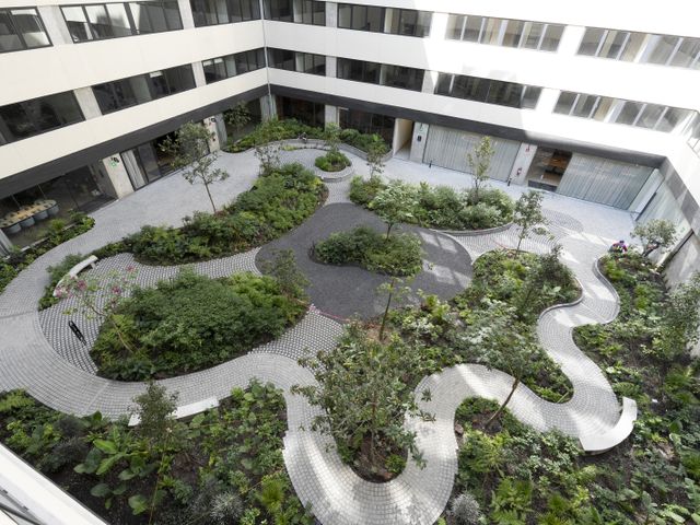 place photo 17