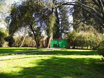 place photo 19