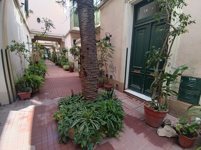 place photo 22