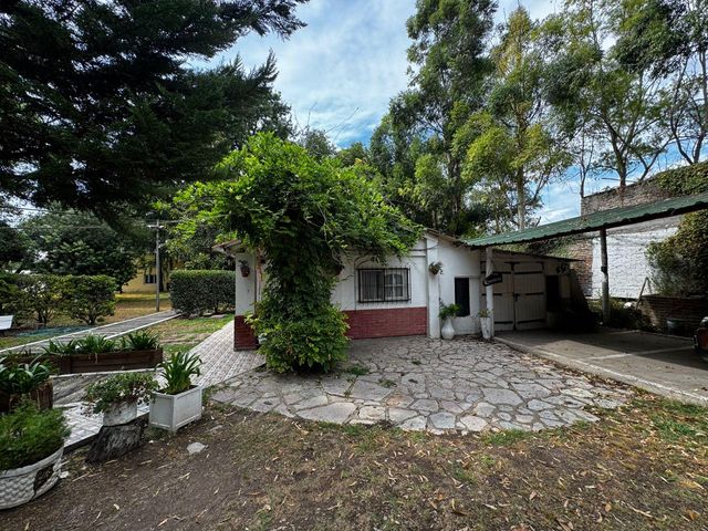 place photo 67