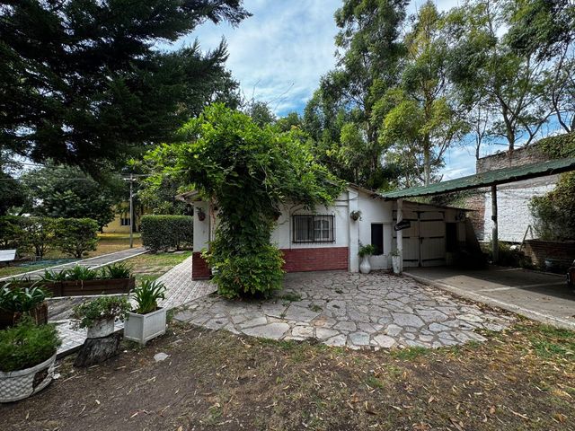 place photo 65