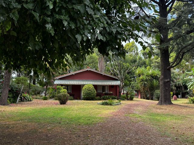 place photo 68