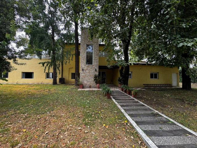 place photo 42