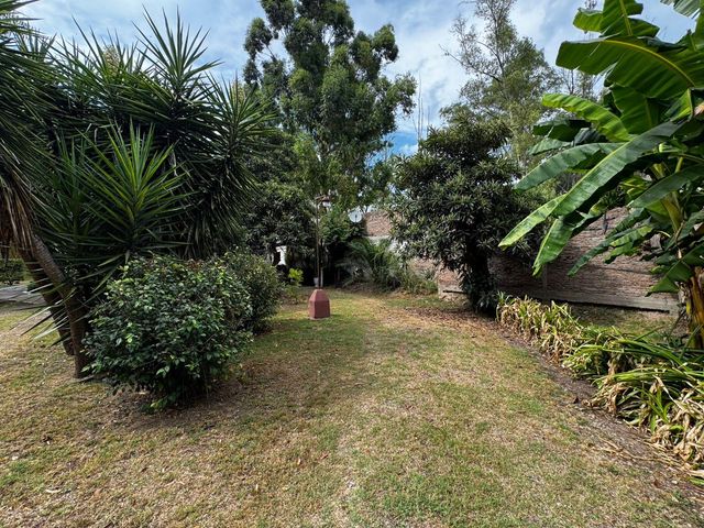 place photo 69