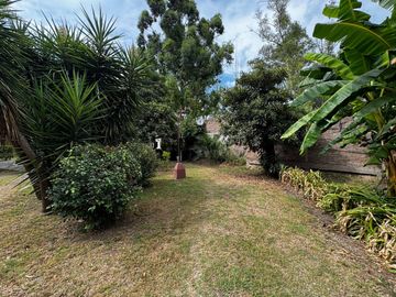 place photo 69