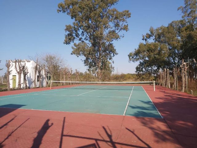 place photo 22