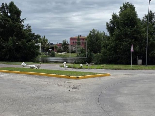place photo 38