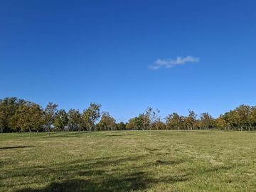 place photo 52