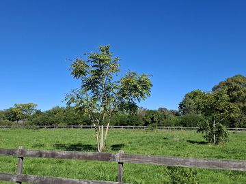 place photo 60