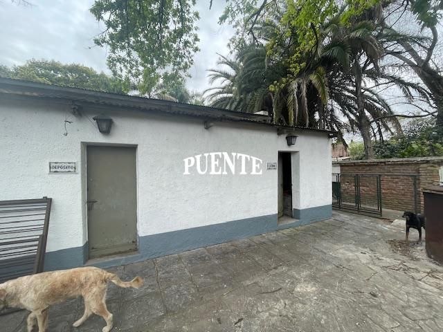 place photo 20