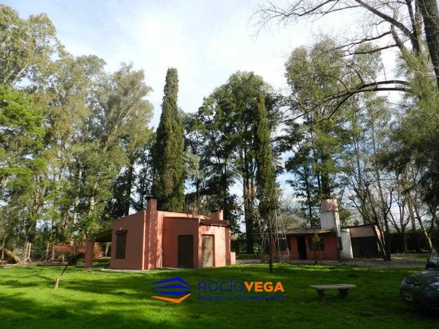 place photo 25
