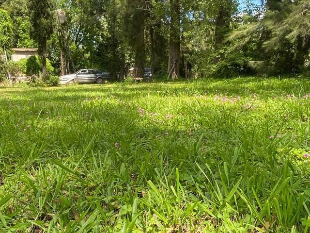place photo 40