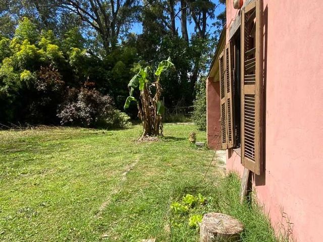 place photo 42