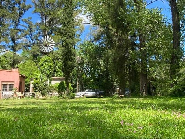 place photo 39