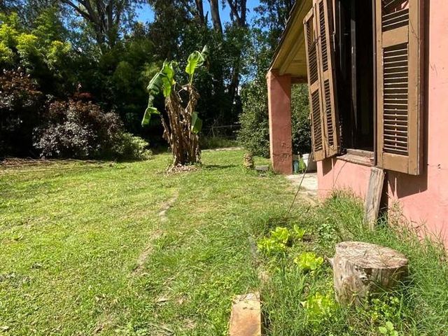 place photo 34
