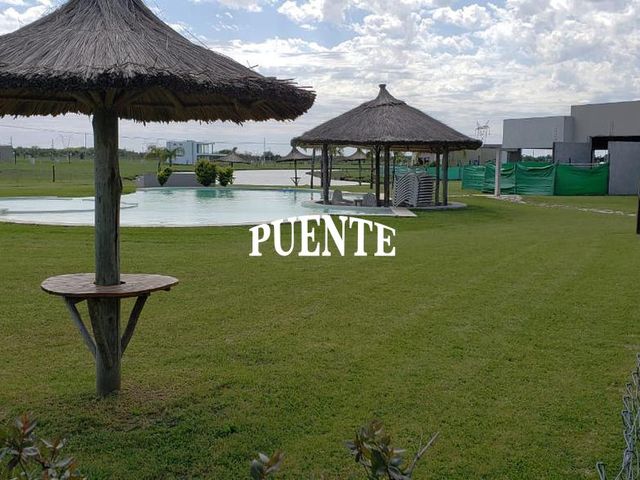 place photo 24