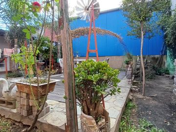 place photo 9