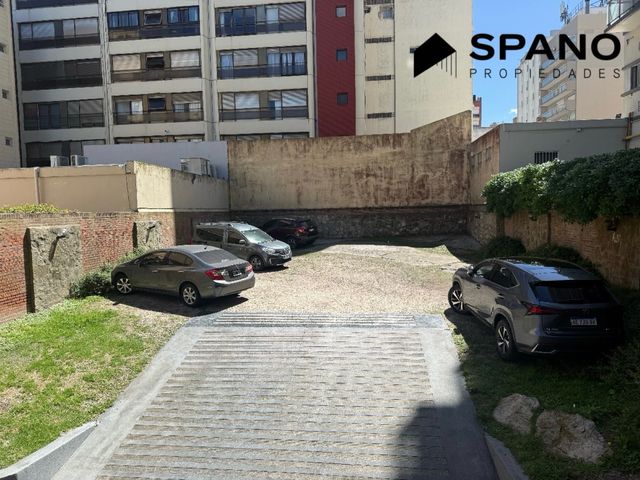 place photo 38