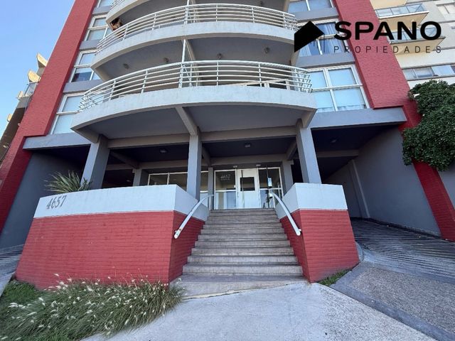 place photo 45