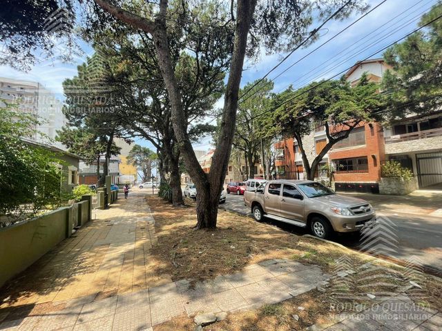 place photo 47