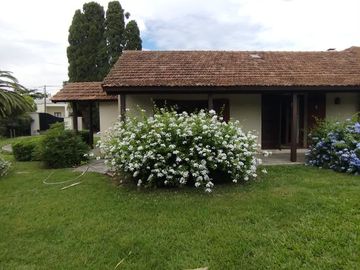 place photo 40