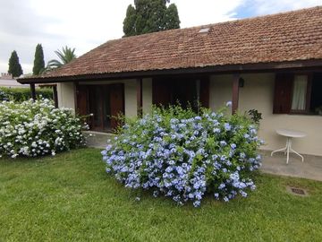 place photo 34