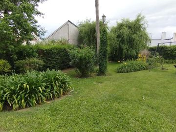place photo 39