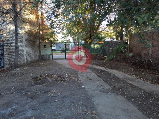 place photo 27