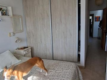 place photo 36