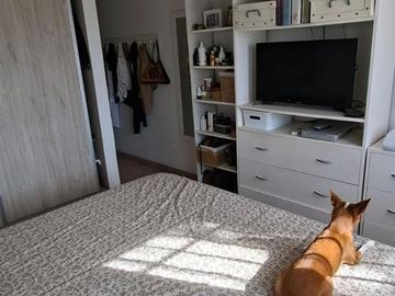 place photo 37