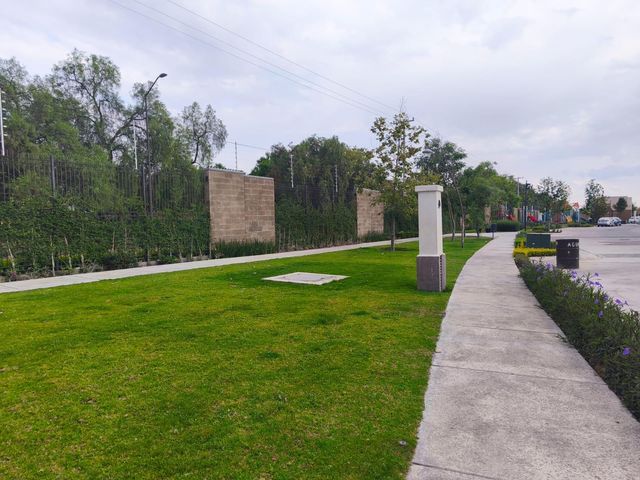 place photo 50