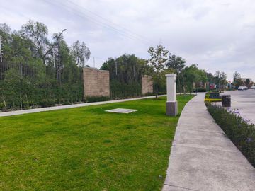 place photo 50