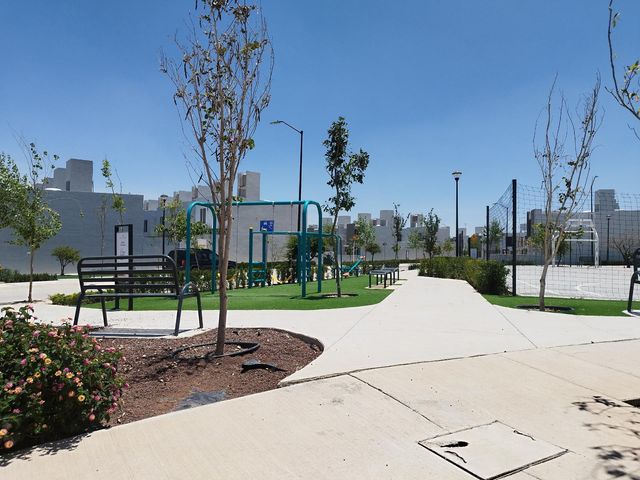 place photo 26