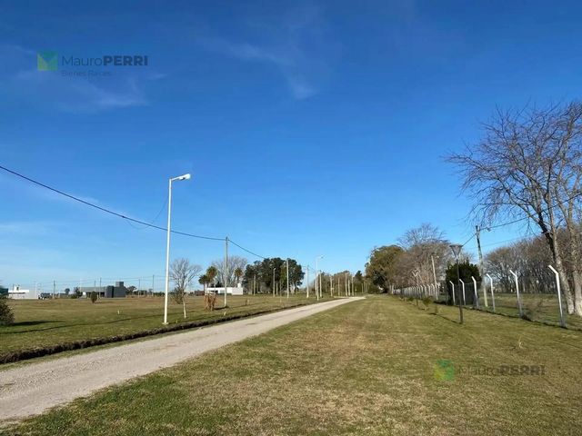 place photo 11