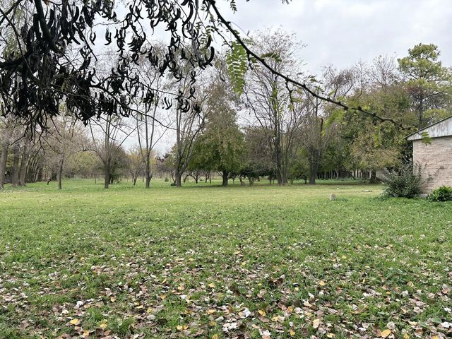 place photo 58