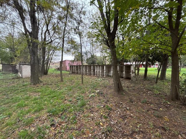 place photo 51