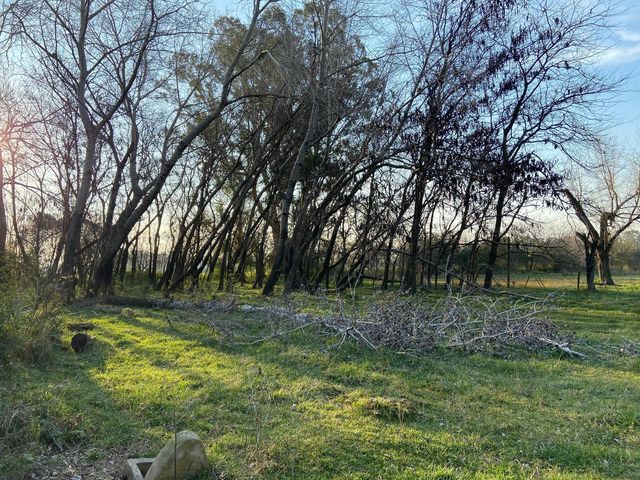 place photo 41