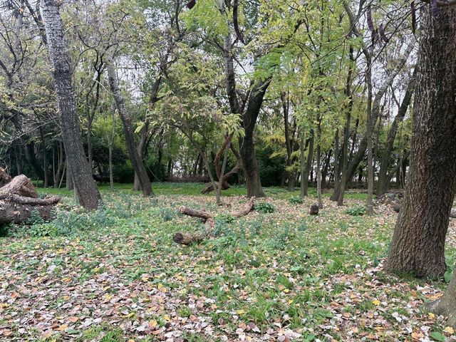 place photo 57