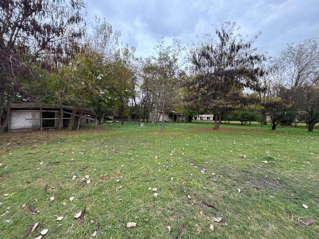 place photo 43