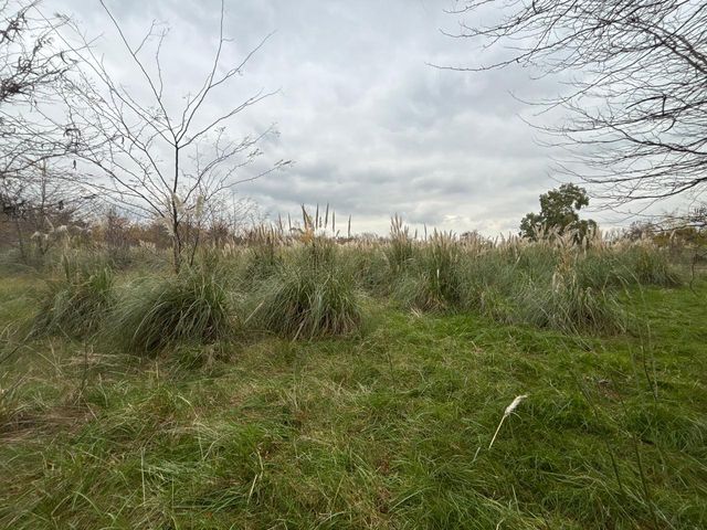 place photo 46
