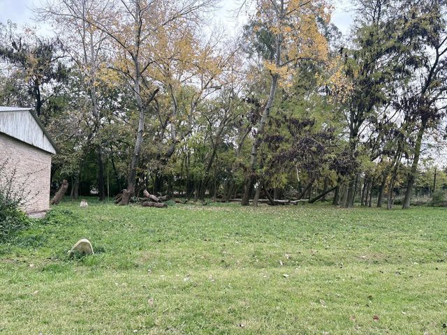 place photo 54